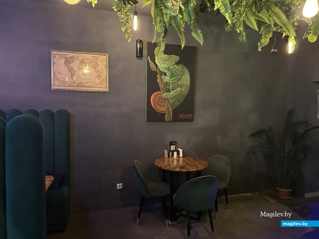 27.11.2024 г. Могилев, рестобар «Амазонка».