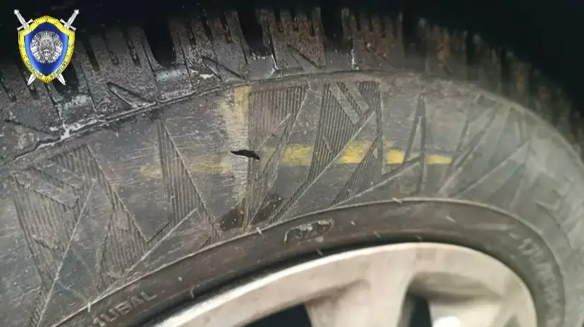 Фото: УСК по Могилевской области
