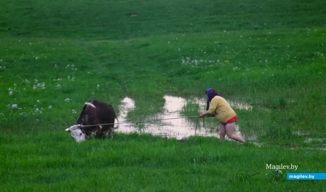 28.11.2024, Могилев, городской Центр культуры и досуга, клуб «Радуга». Показ фотографий Андрея Масючика.
