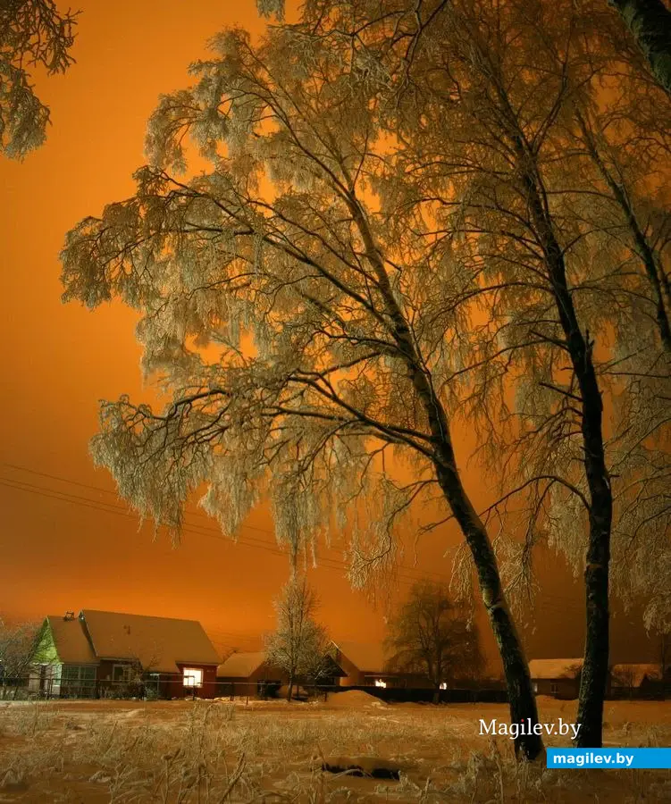 28.11.2024, Могилев, городской Центр культуры и досуга, клуб «Радуга». Показ фотографий Андрея Масючика.