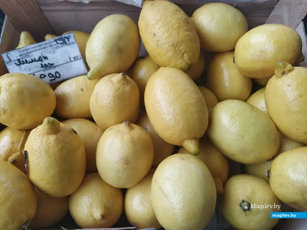 29 ноября 2024 года. Могилев. Минский (Центральный) рынок.