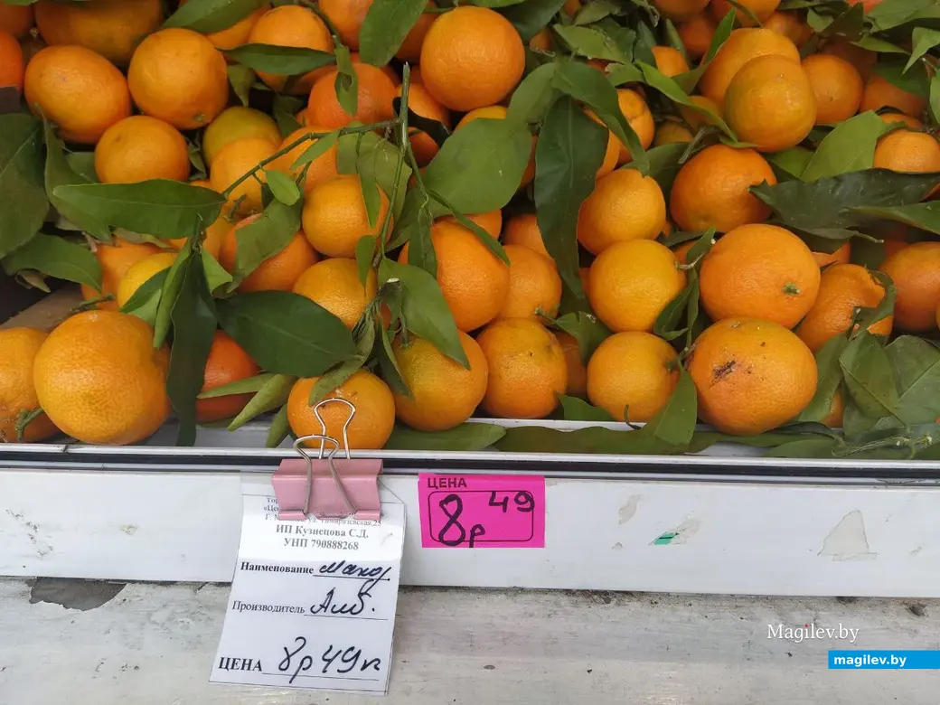 29 ноября 2024 года. Могилев. Минский (Центральный) рынок.