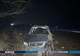 В Могилевском районе опрокинулась легковушка. Водитель госпитализирован