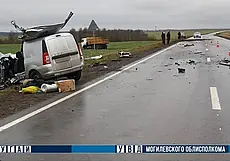 Грузовик и Lada столкнулись в Могилевском районе. Водитель легковушки погиб на месте ДТП (дополнено)