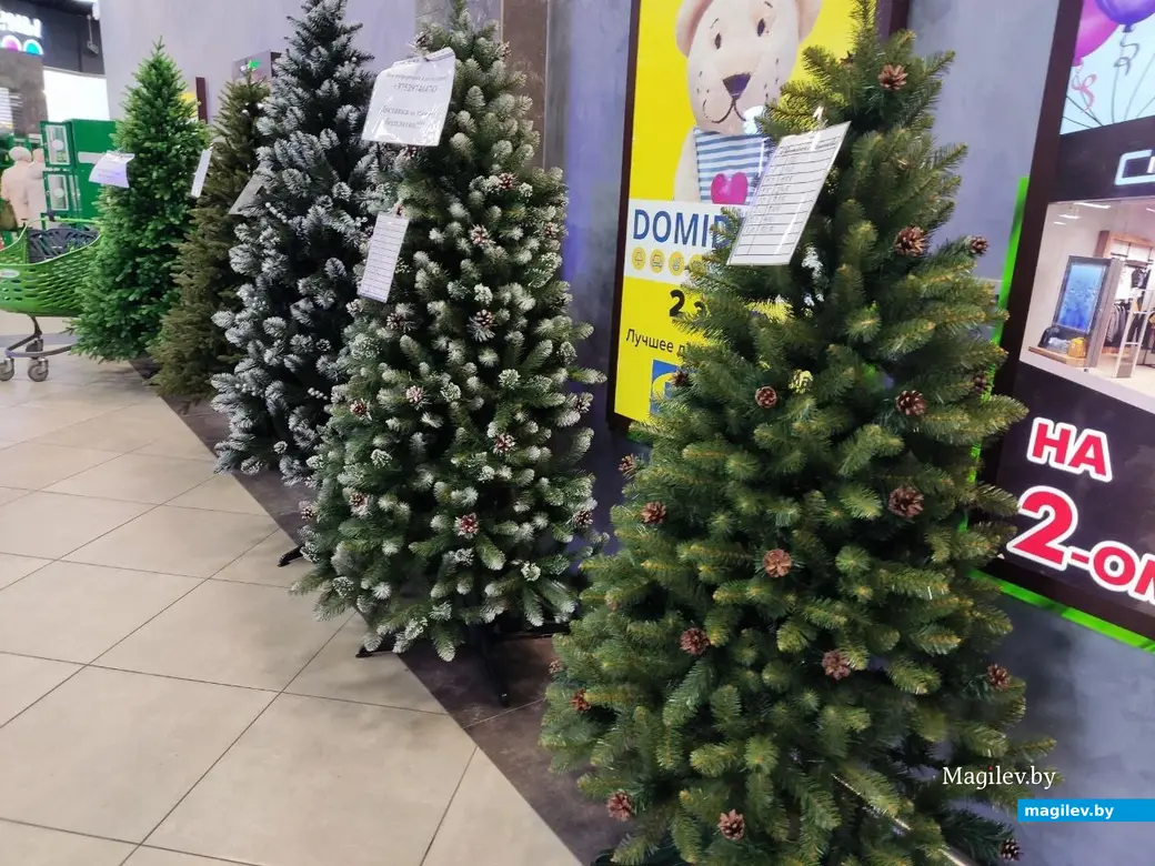 4.12.2024 г. Могилев, ТЦ «Планета Green». Что предлагают на новогодних ярмарках и не только?