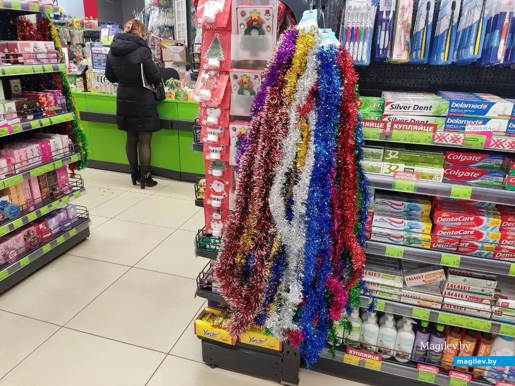 4.12.2024 г. Могилев, ТЦ «Планета Green». Что предлагают на новогодних ярмарках и не только?