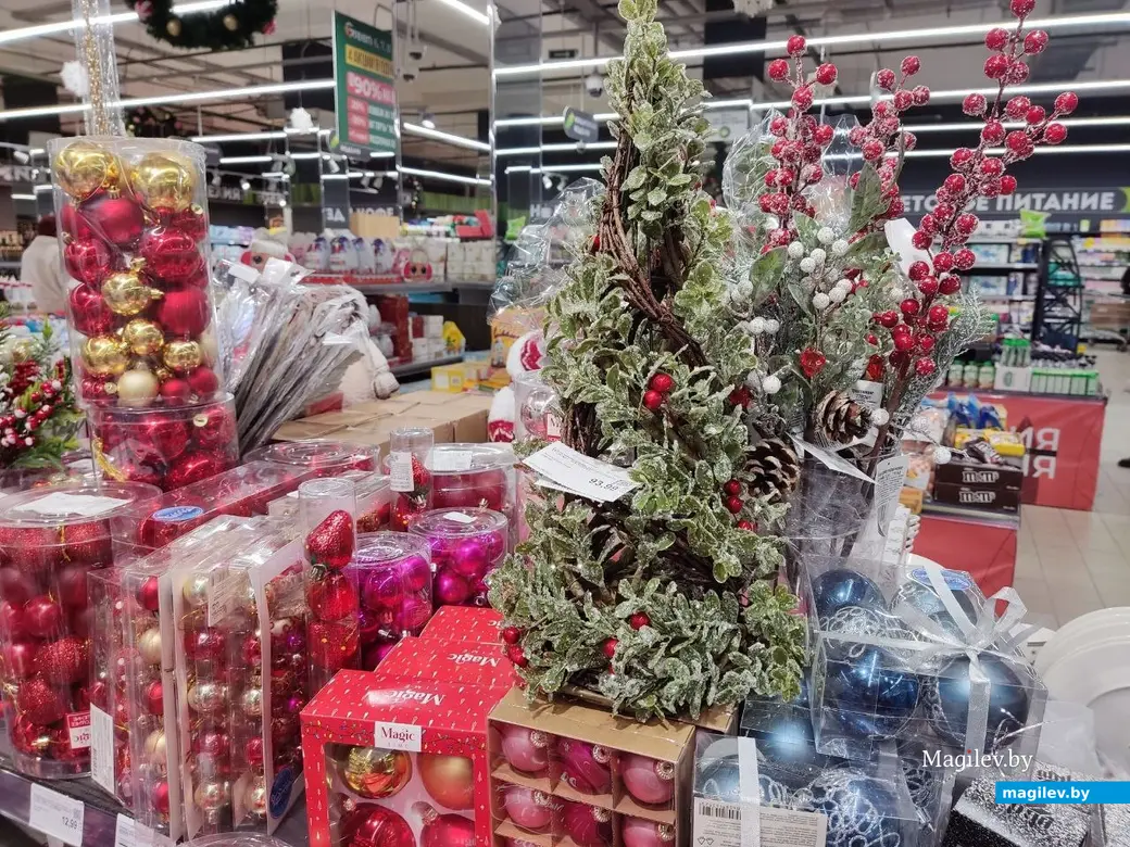 4.12.2024 г. Могилев, ТЦ «Планета Green». Что предлагают на новогодних ярмарках и не только?