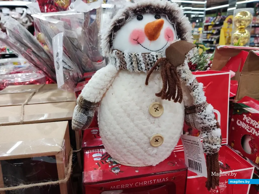 4.12.2024 г. Могилев, ТЦ «Планета Green». Что предлагают на новогодних ярмарках и не только?