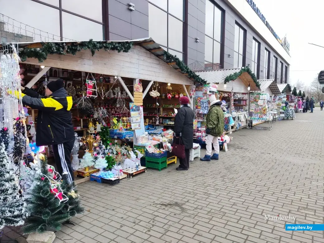 4.12.2024 г. Могилев. Новогодняя ярмарка у ТЦ «Планета Green»