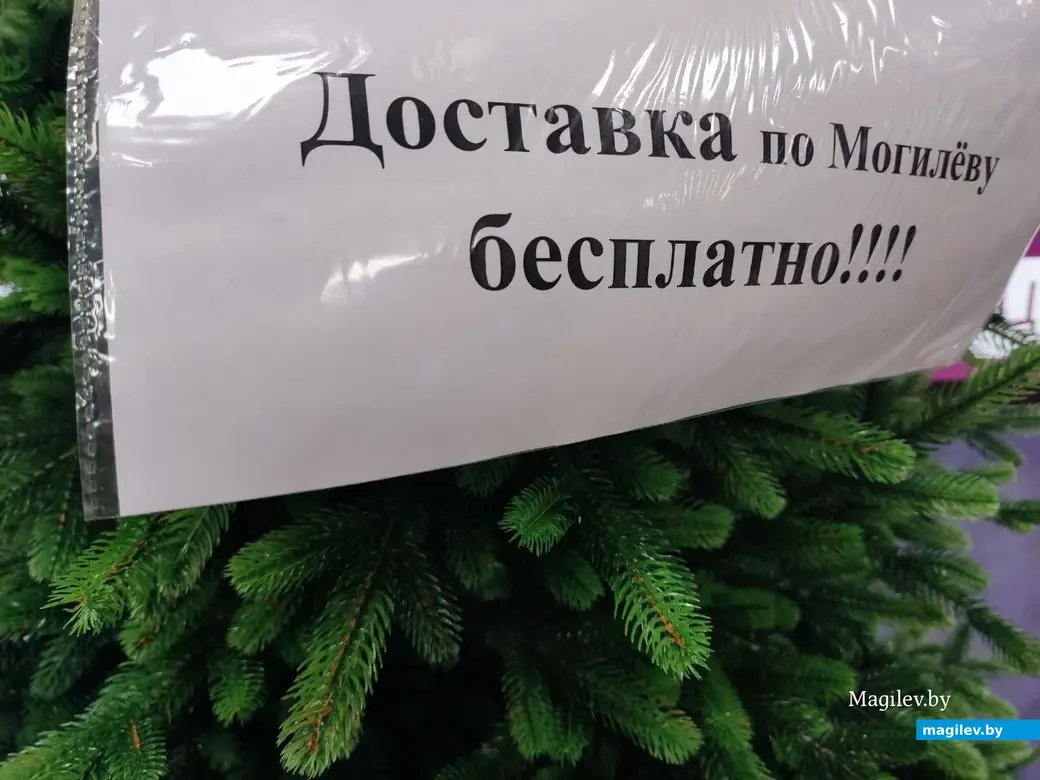4.12.2024 г. Могилев, ТЦ «Планета Green». Что предлагают на новогодних ярмарках и не только?