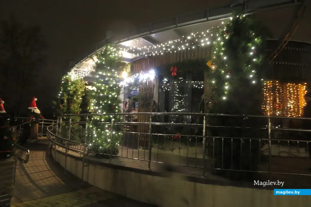 5.12.2024 г. Могилев, парк Подниколье.