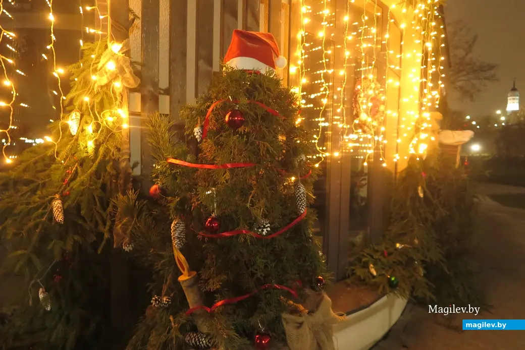 5.12.2024 г. Могилев, парк Подниколье.