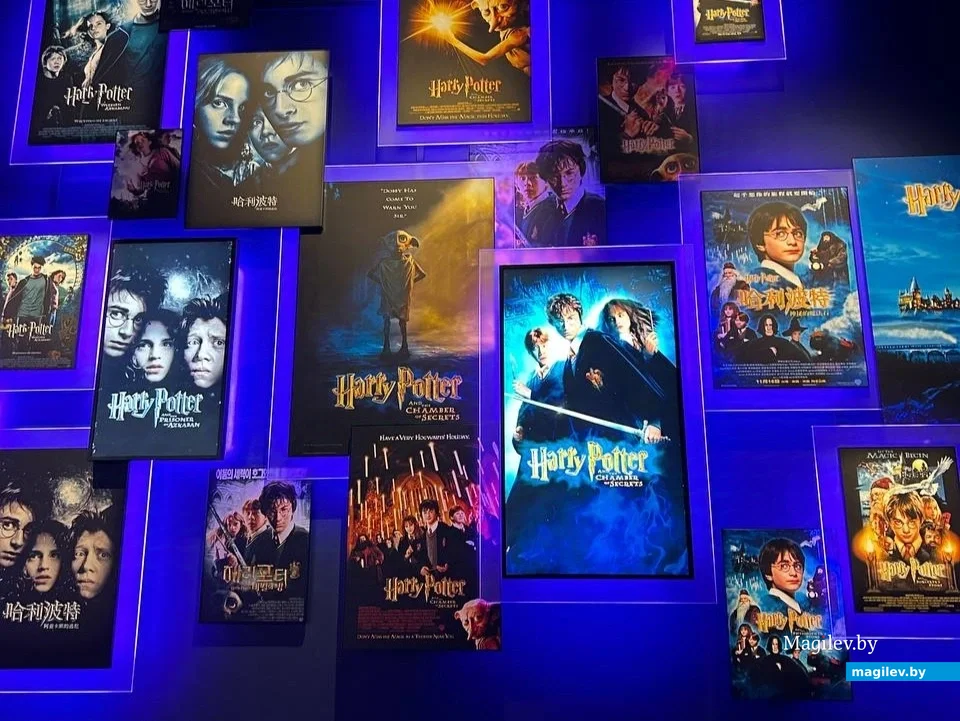 Сентябрь 2024 года. Япония, Токио.