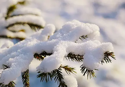Снег и мокрый снег. Синоптики рассказали о погоде в Беларуси на неделе