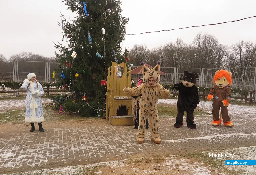 Декабрь 2024 г. Могилевский район, Буйничи, зоосад. Вот такая компания развлекает детвору.