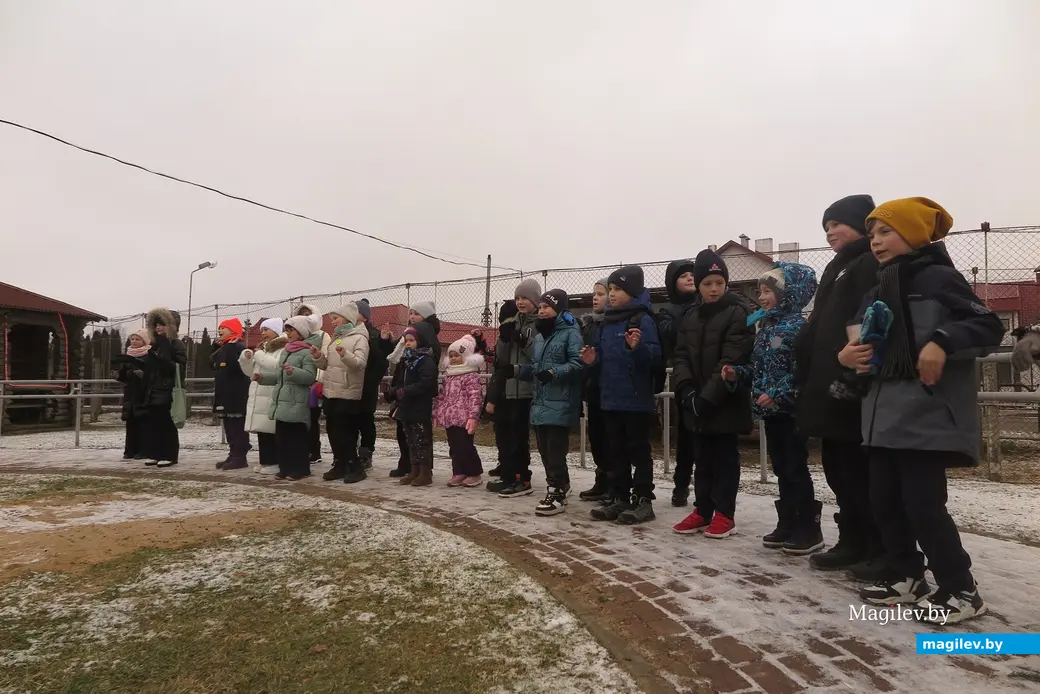 Декабрь 2024 г. Могилевский район, Буйничи, зоосад. Ребята же выполняют различные задания.