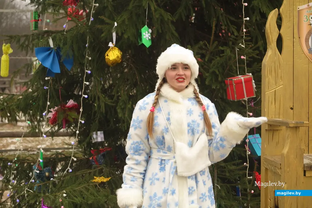 Декабрь 2024 г. Могилевский район, Буйничи, зоосад. Снегурка хороша!