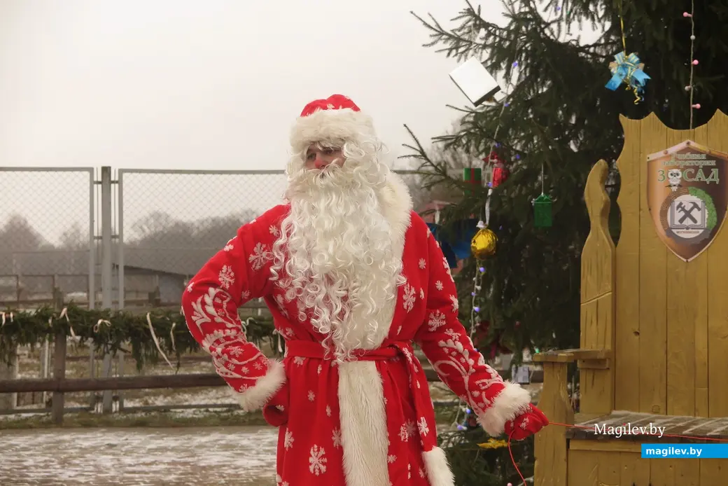 Декабрь 2024 г. Могилевский район, Буйничи, зоосад. И Дед Мороз неплох.