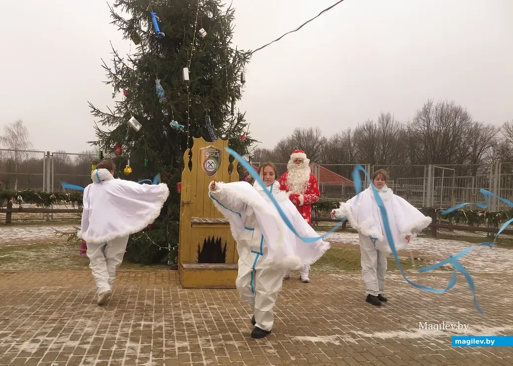 Декабрь 2024 г. Могилевский район, Буйничи, зоосад. Танец снежинок.