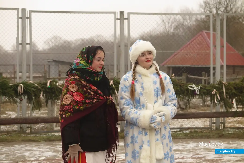 Декабрь 2024 г. Могилевский район, Буйничи, зоосад. Вот такие красотки учатся в колледже, а заодно выступают на новогоднем представлении.