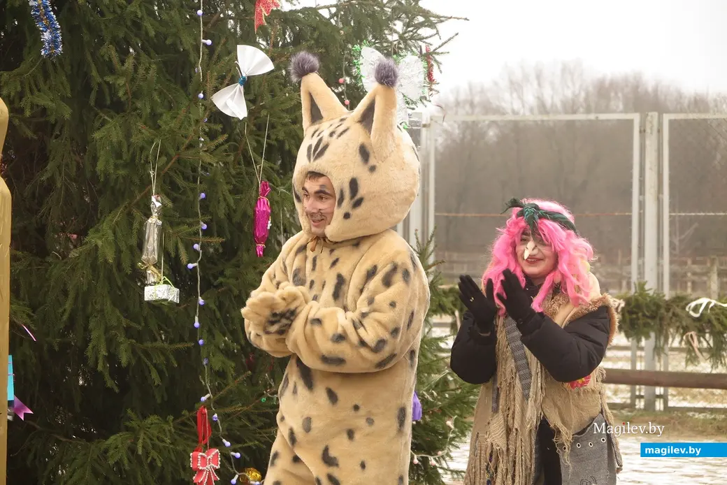 Декабрь 2024 г. Могилевский район, Буйничи, зоосад. Сладкая парочка: Рысик и Баба-яга.