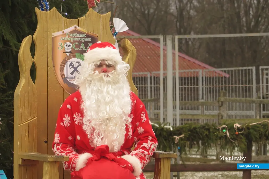 Декабрь 2024 г. Могилевский район, Буйничи, зоосад. Дедушка Мороз уселся на трон и готов слушать стихи.