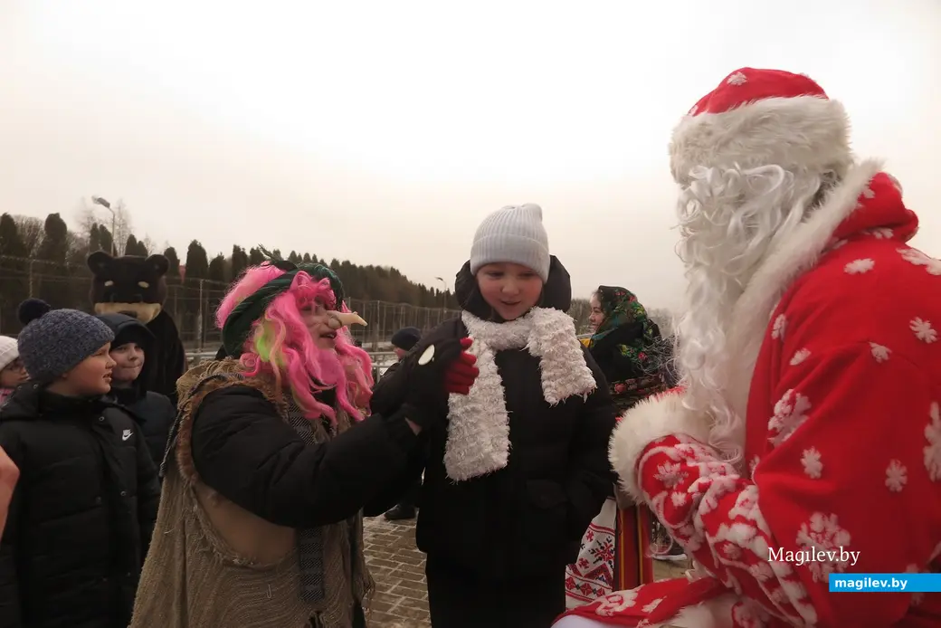 Декабрь 2024 г. Могилевский район, Буйничи, зоосад. И так по очереди...