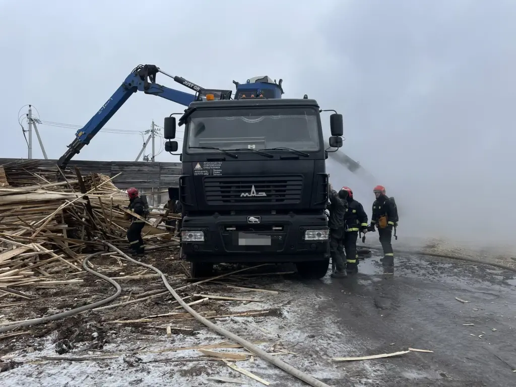 10.12.2024г На пилораме в Могилевском районе произошел пожар. Фото МЧС