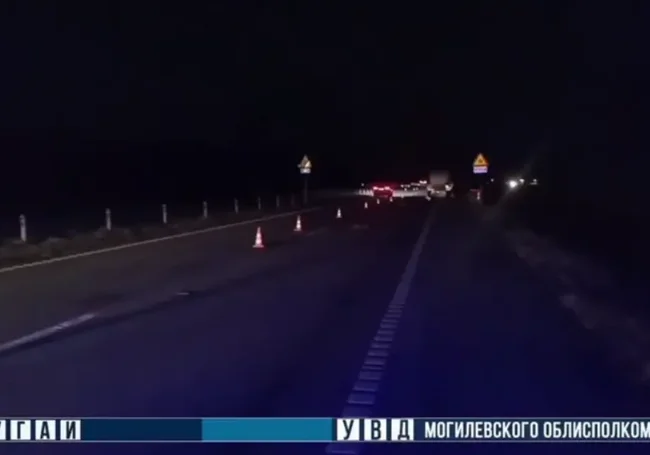 Вечером 12 декабря в Бобруйском районе погиб пешеход. Мужчину сбила машина