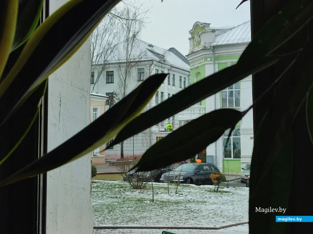 Декабрь 2024 г. Кофейня «Сова».