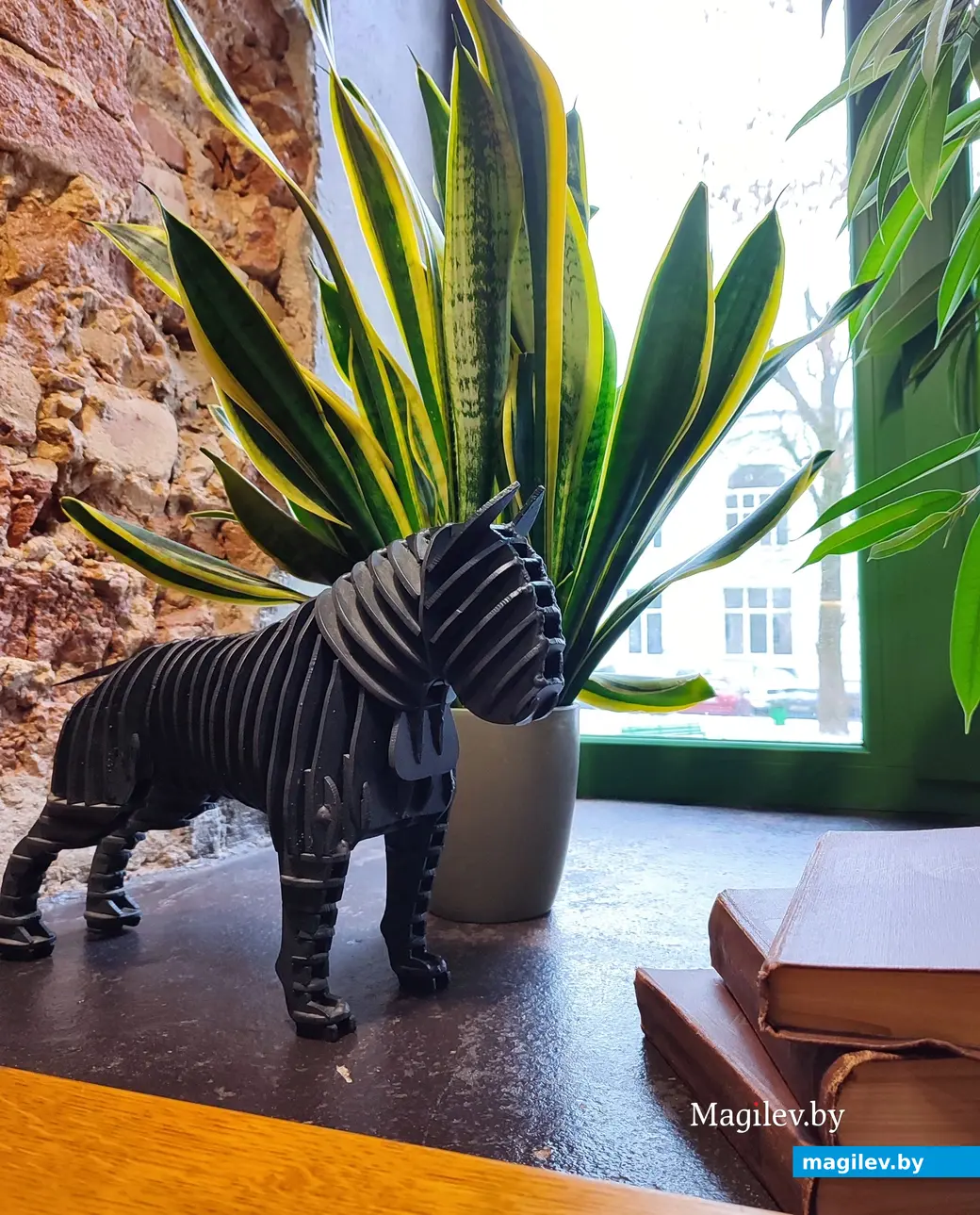 Декабрь 2024 г. Кофейня «Сова».