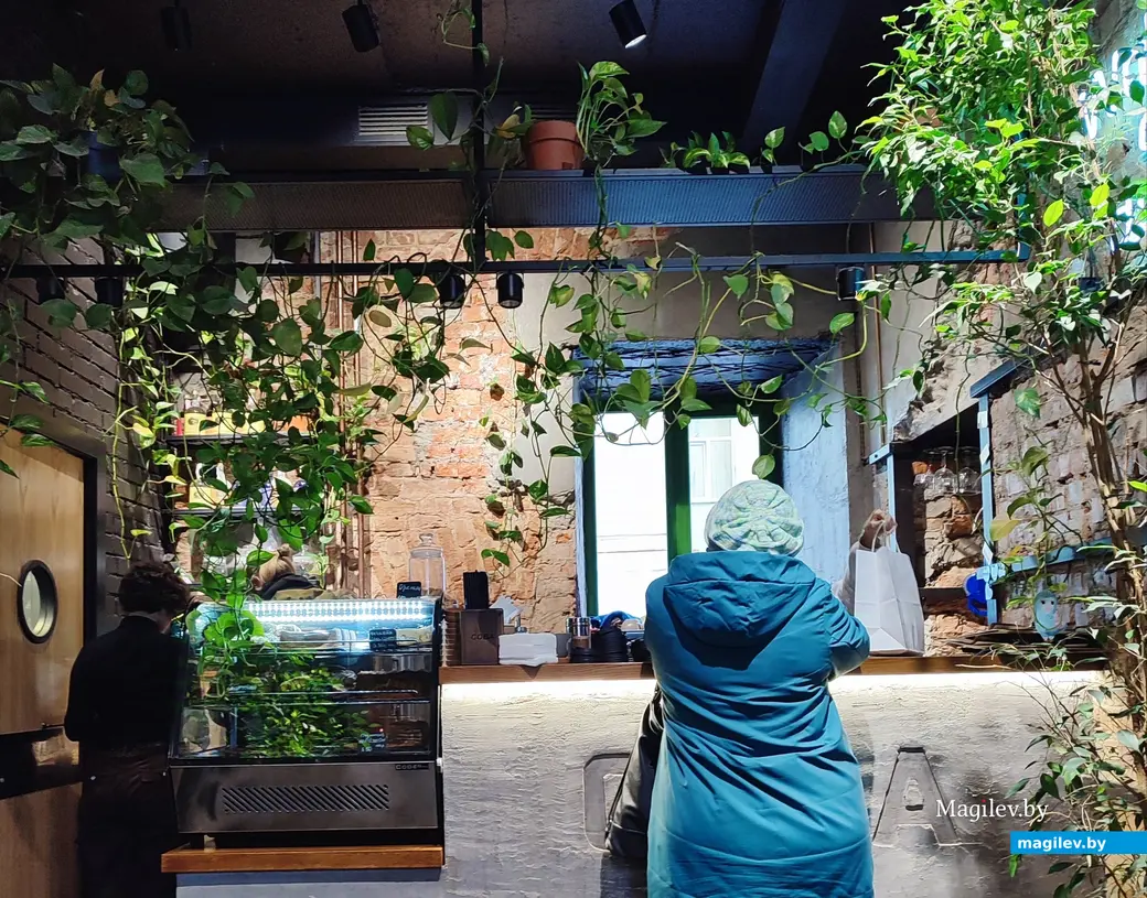 Декабрь 2024 г. Кофейня «Сова».