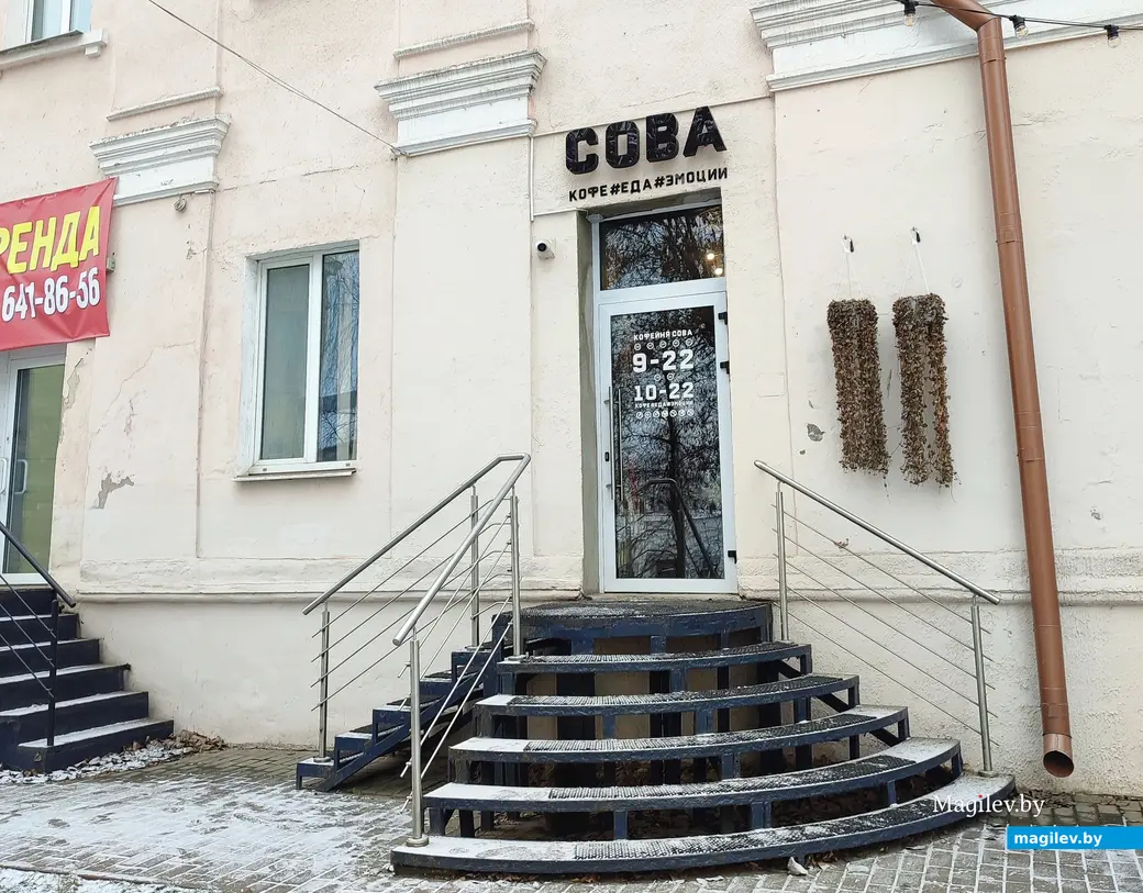 Декабрь 2024 г. Кофейня «Сова».