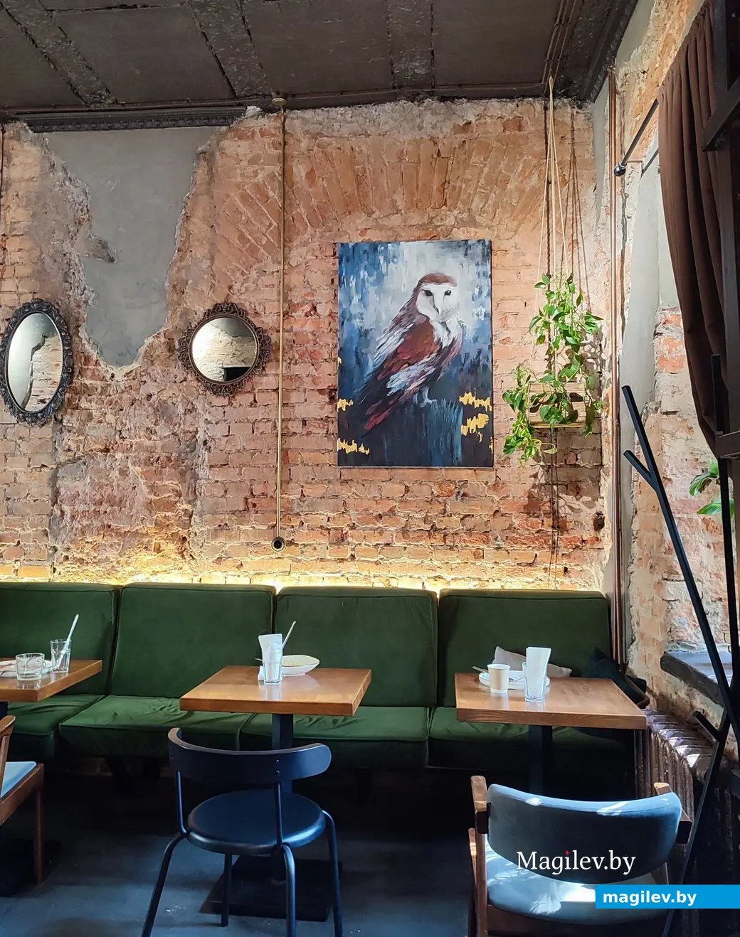 Лето 2024 г. Кофейня «Сова».