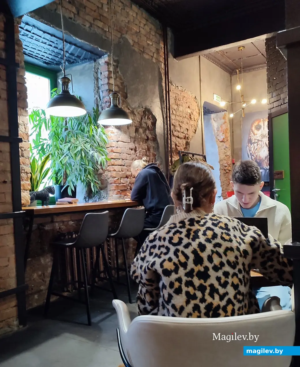 Декабрь 2024 г. Кофейня «Сова».