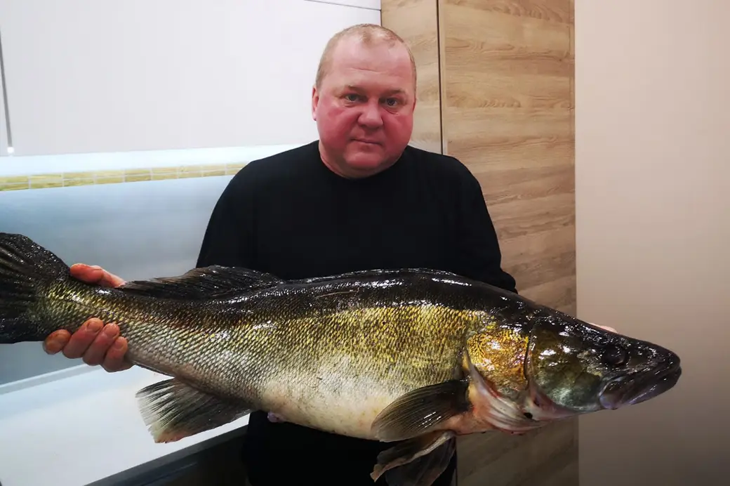 Рыболовный трофей Андрея Шевчика: длина судака составила 85 см, вес – 7,700 кг. Фото: FishingBY.