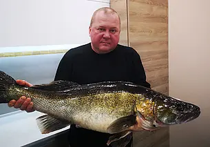 Рыболов из Бобруйска добыл судака весом 7,7 кг. Трофей претендует на звание рекордного