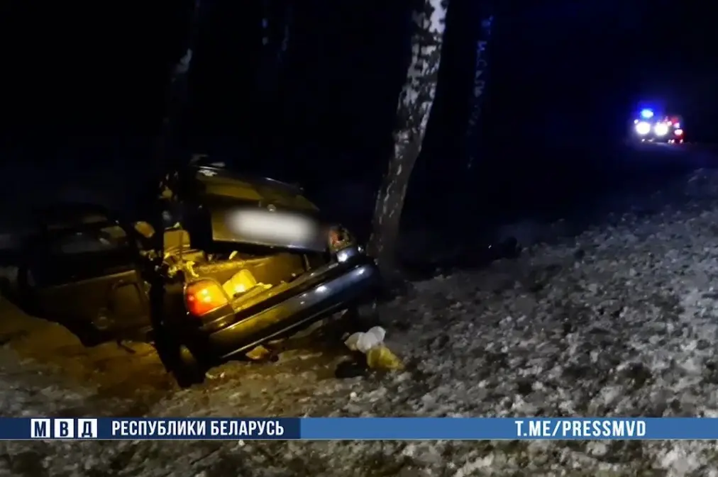 14 декабря 2024 года. Смертельное ДТП на 140-м километре автодороги Р-15, соединяющей Оршу и Горки. Кадр видео МВД.