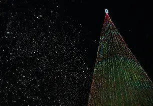 В Могилеве зажгли огни на главной елке: посмотрите, как это было