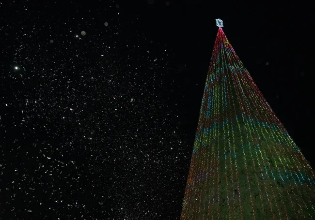 В Могилеве зажгли огни на главной елке: посмотрите, как это было