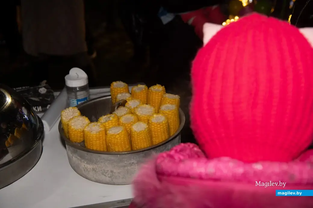 16.12.2024 г. Могилев, пл.Ленина, новогодний праздник.