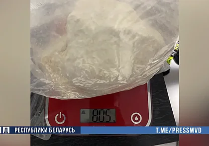 В Могилеве задержаны два иностранца: они работали наркокурьерами