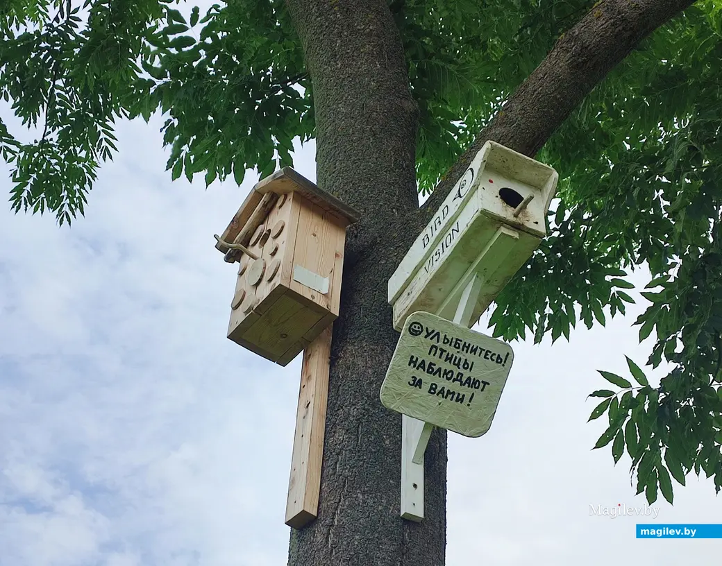 Лето 2024 года. В парке в Подниколье.