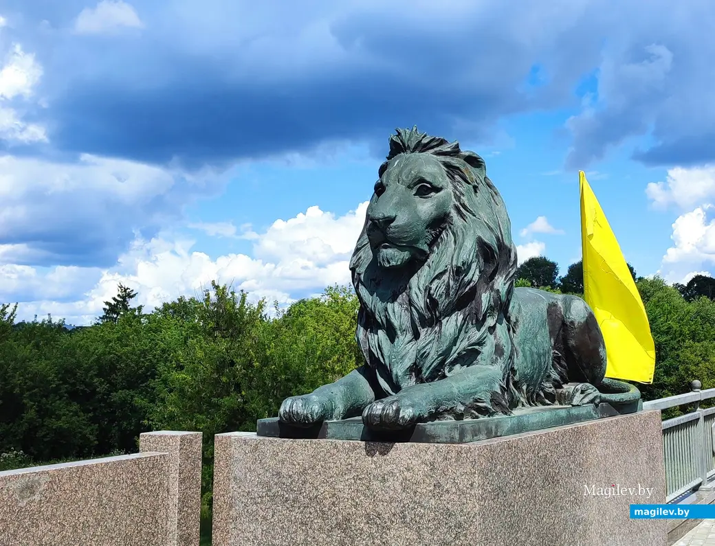 Лето 2024 года. Лев на мосту.
