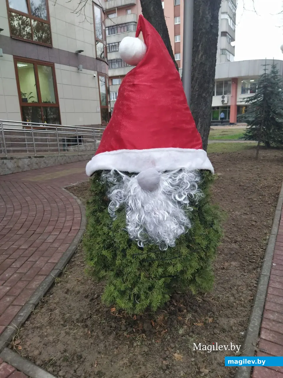 Декабрь 2024 года. Могилев. Дед Мороз.