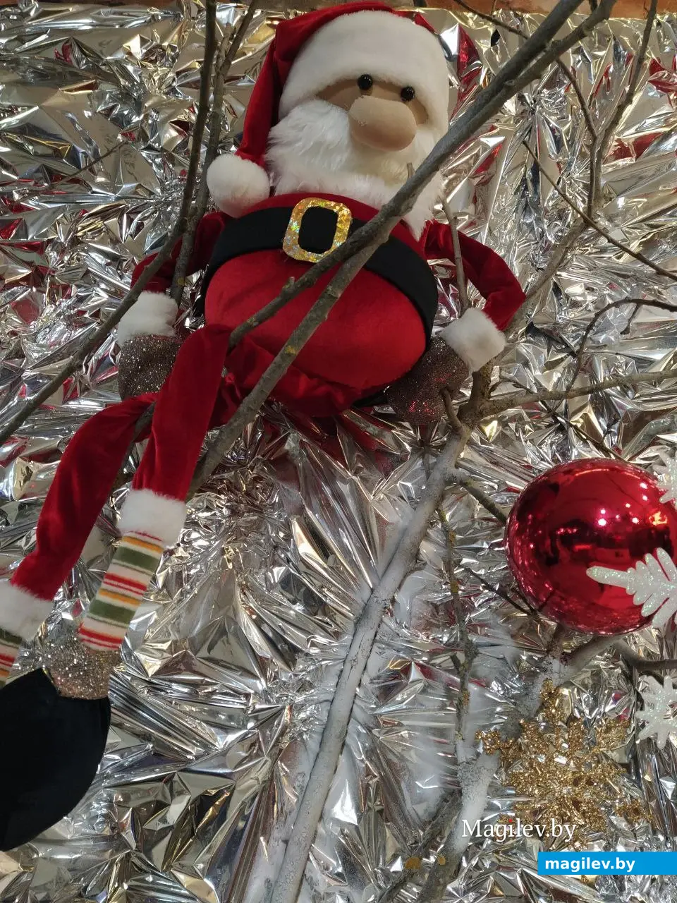 Декабрь 2024 года. Могилев. Дед Мороз.