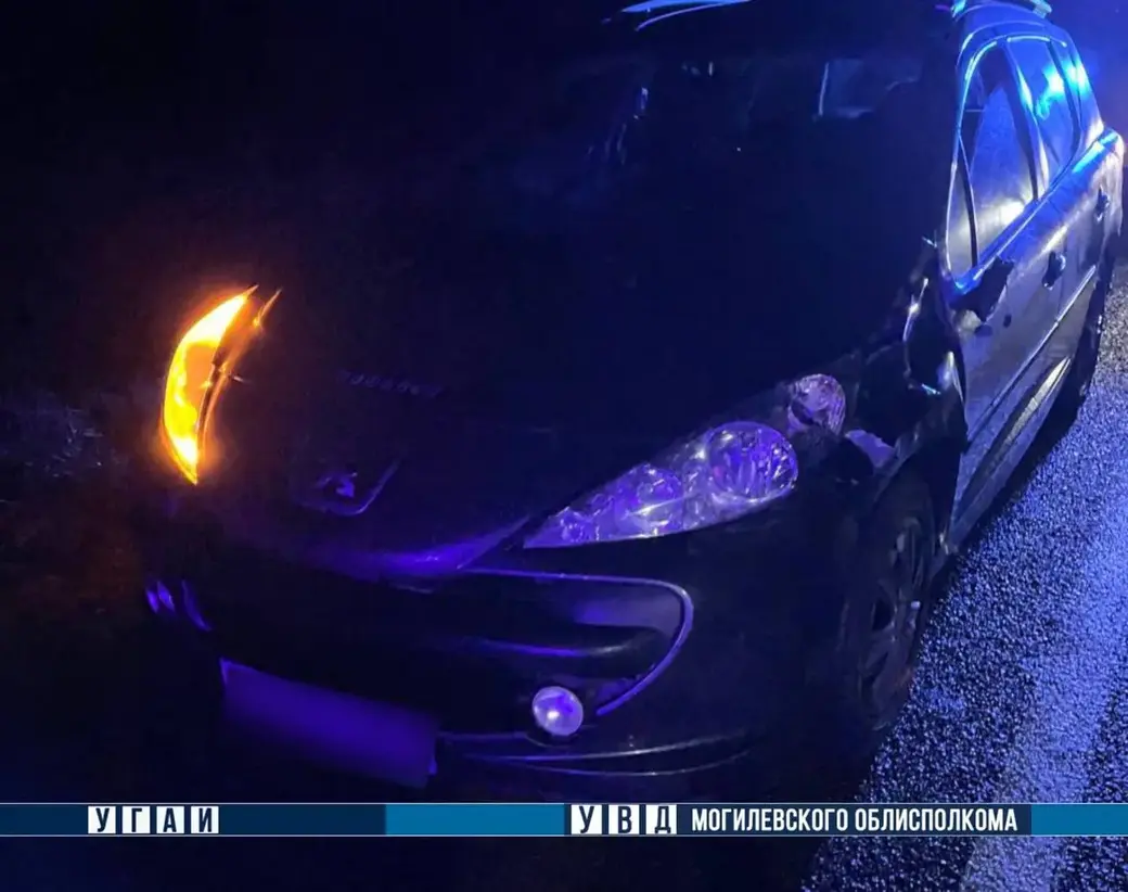 20 декабря 2024 года. Недалеко от агрогородка Сидоровичи в Могилевском районе мужчину сбил Peugeot, а после этого на пострадавшего наехал Volkswagen.