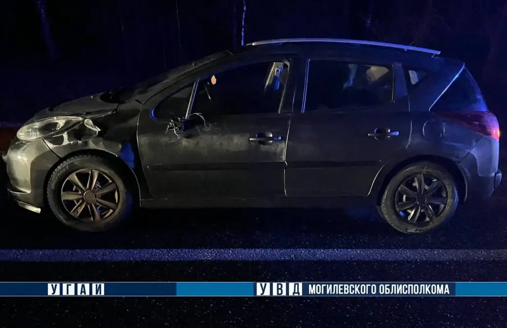 20 декабря 2024 года. Недалеко от агрогородка Сидоровичи в Могилевском районе мужчину сбил Peugeot, а после этого на пострадавшего наехал Volkswagen.