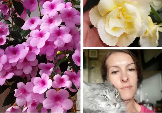 «Уверена, на этих цветах заработать можно…»