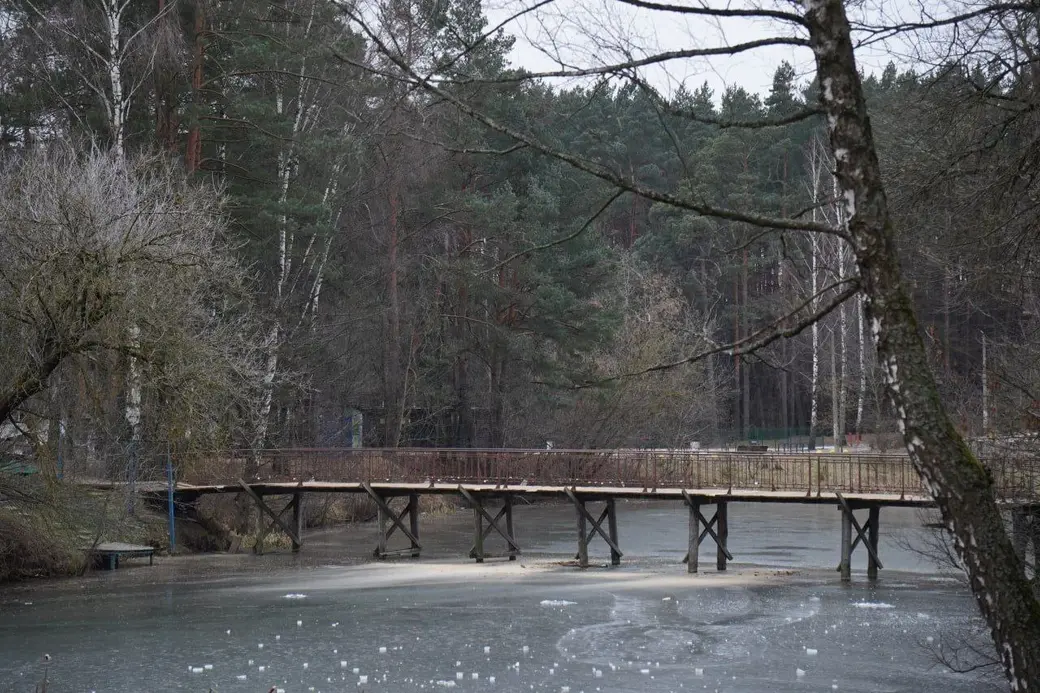 Декабрь 2024 г. Могилев, Печерский лесопарк.